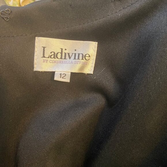 Ladivine by Cinderella Divine Corset Satin Whimsigoth Formal Dress Sz 12 NWT - Picture 3 of 16